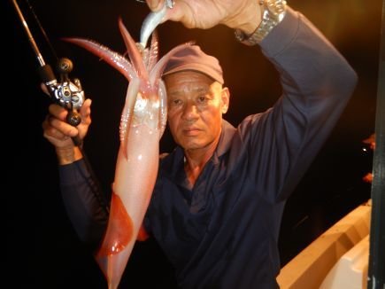 シロイカ(ケンサキイカ)