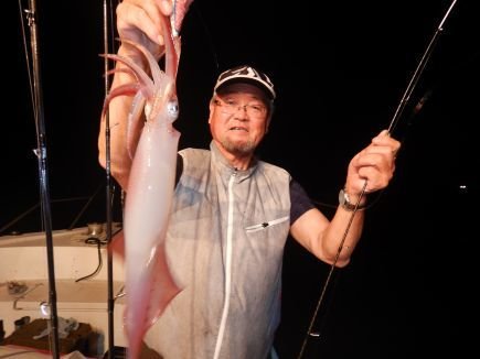 シロイカ(ケンサキイカ)