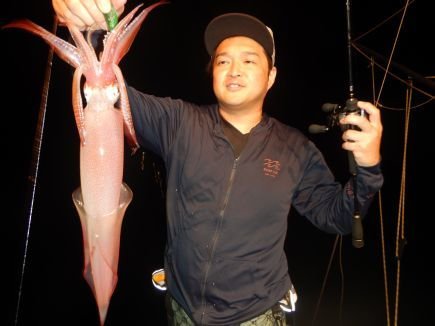 シロイカ(ケンサキイカ)