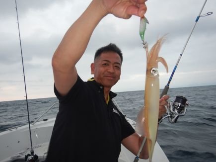 シロイカ(ケンサキイカ)