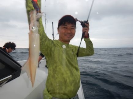 シロイカ(ケンサキイカ)