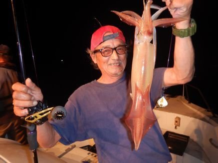 シロイカ(ケンサキイカ)