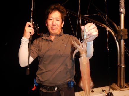 シロイカ(ケンサキイカ)