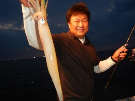 シロイカ(ケンサキイカ)