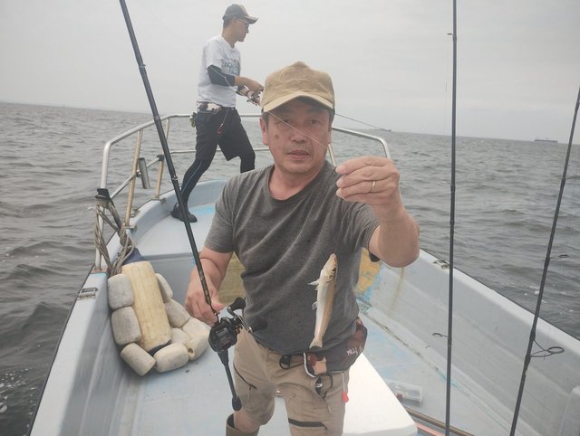 キス(シロギス)