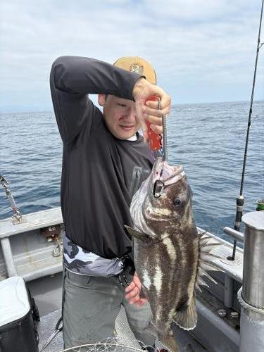 イシナギ(オオクチイシナギ)