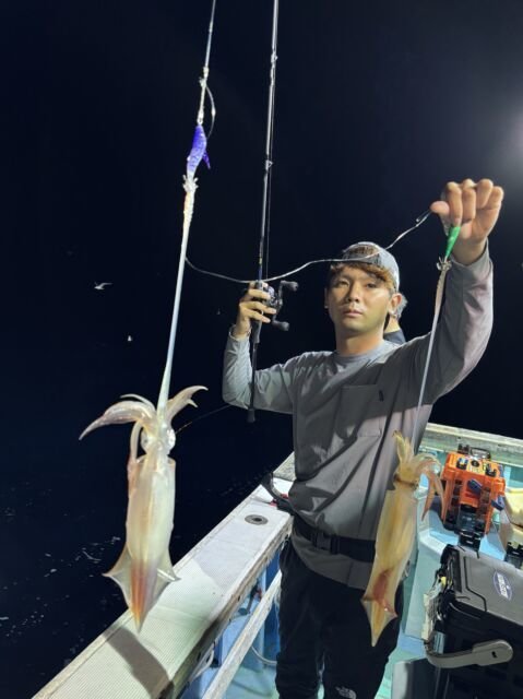 マイカ(ケンサキイカ)