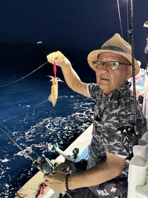 マイカ(ケンサキイカ)