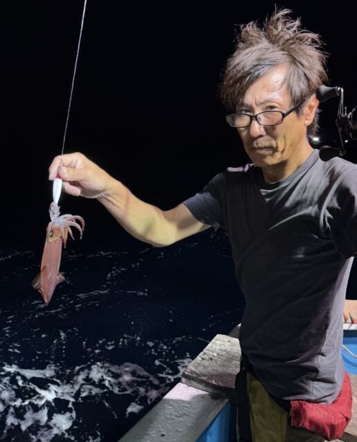 マイカ(ケンサキイカ)