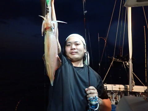 シロイカ(ケンサキイカ)