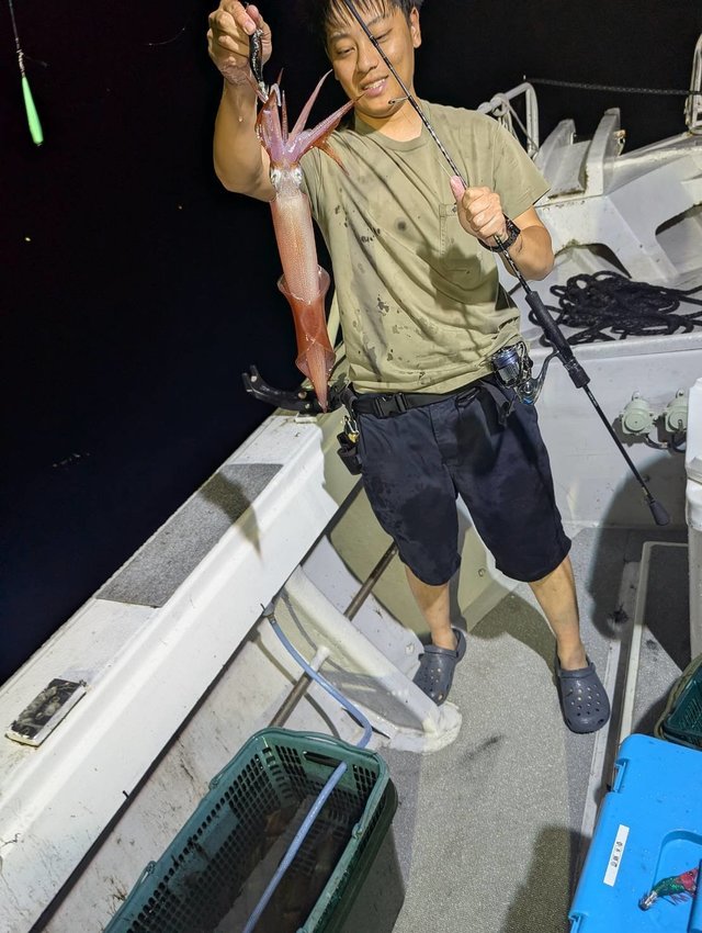 イカ(ケンサキイカ)