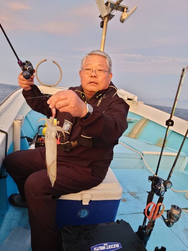 シロイカ(ケンサキイカ)