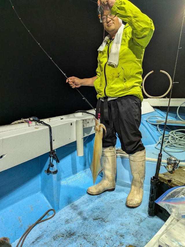 シロイカ(ケンサキイカ)