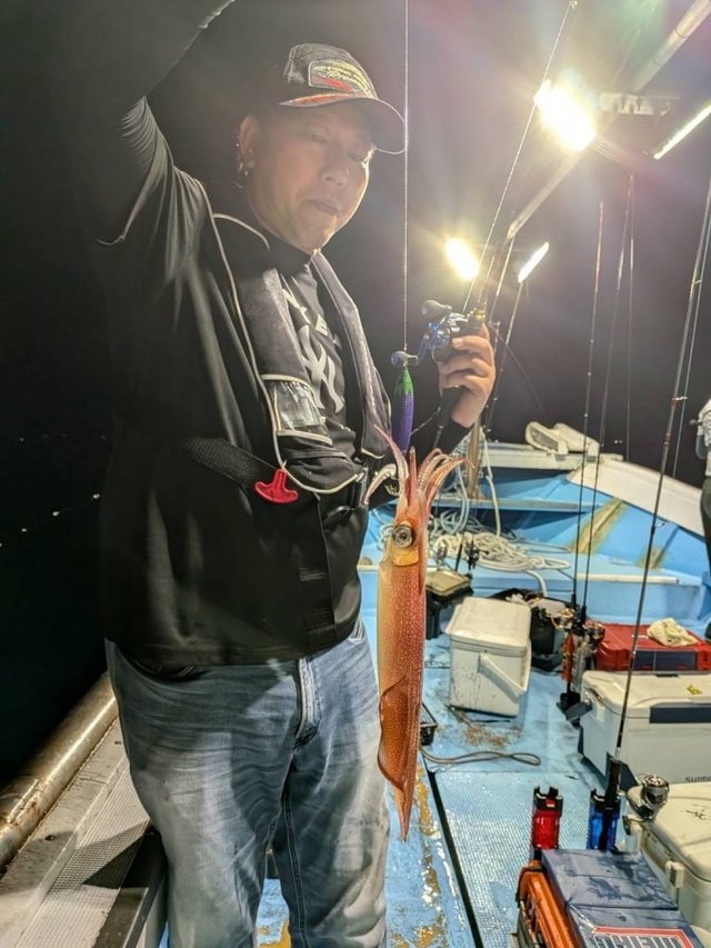 シロイカ(ケンサキイカ)