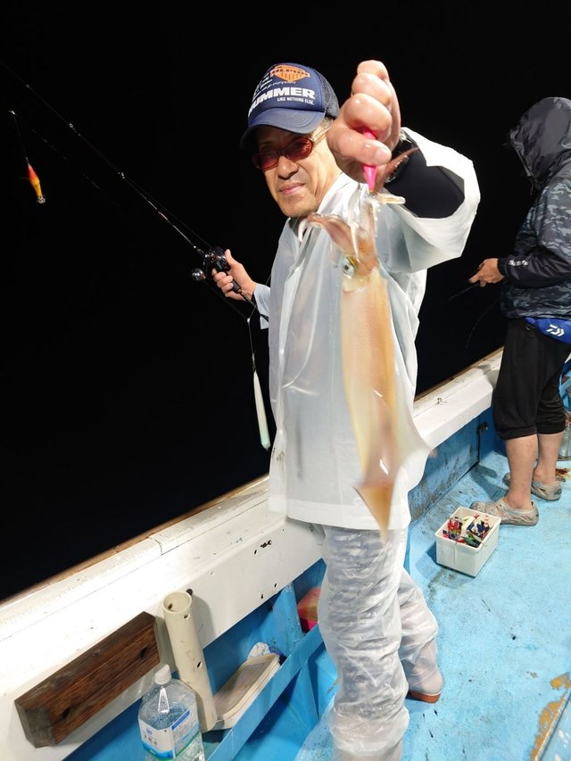 シロイカ(ケンサキイカ)