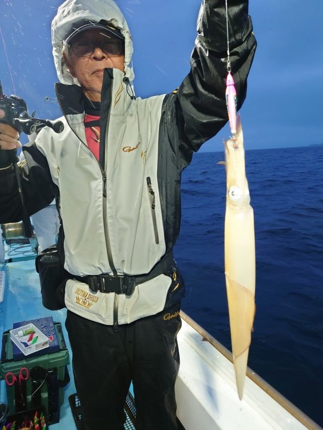 シロイカ(ケンサキイカ)