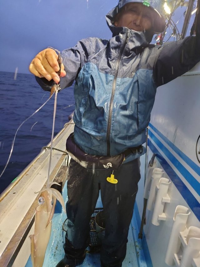 シロイカ(ケンサキイカ)