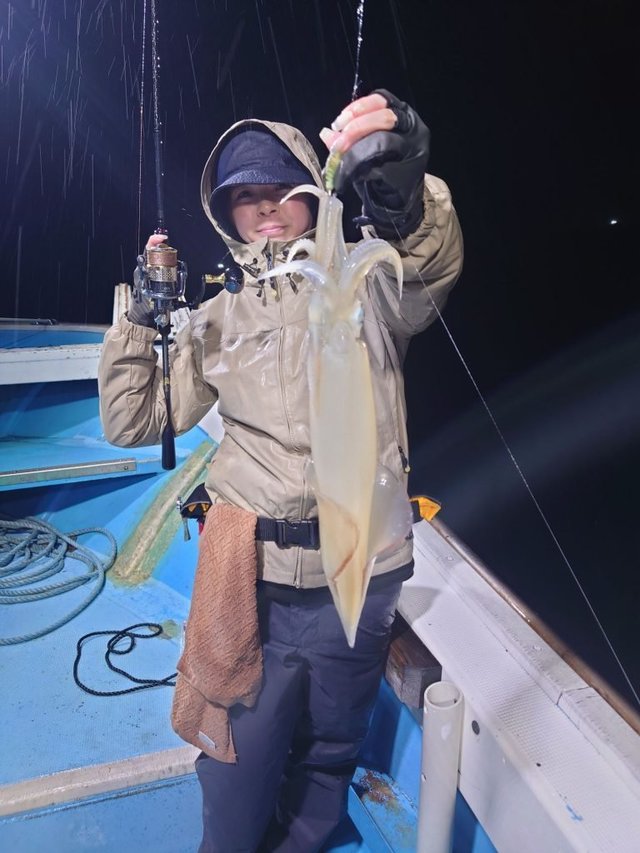 シロイカ(ケンサキイカ)