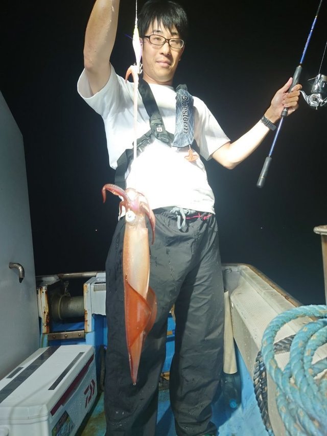 シロイカ(ケンサキイカ)