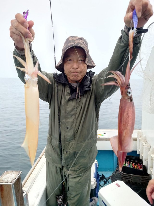 シロイカ(ケンサキイカ)