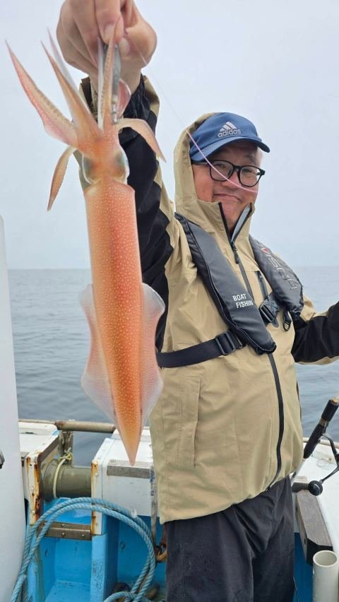 シロイカ(ケンサキイカ)