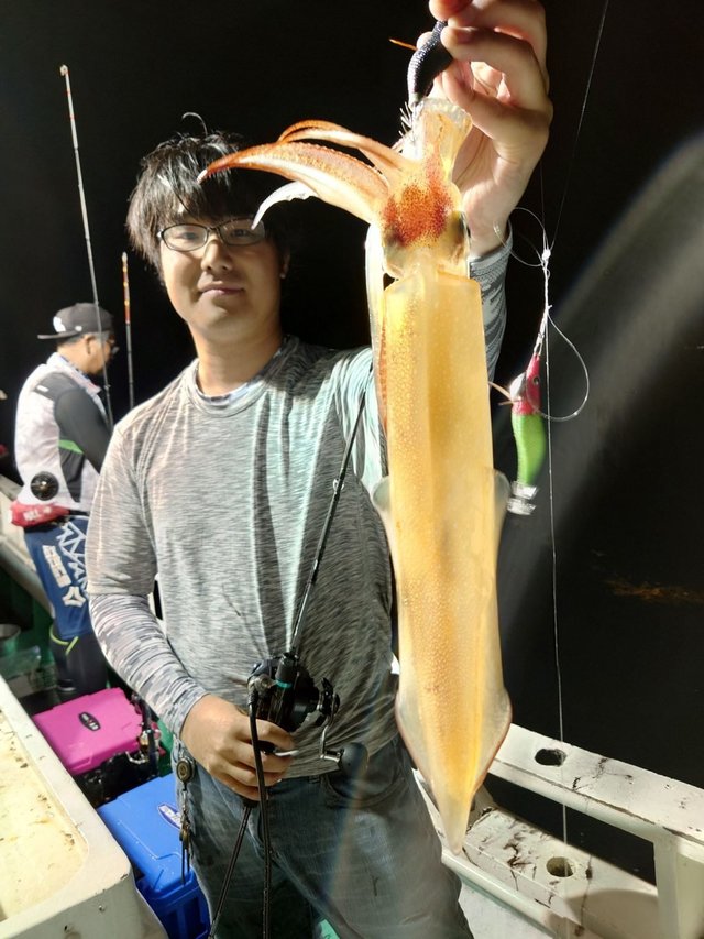 シロイカ(ケンサキイカ)