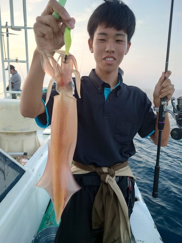 シロイカ(ケンサキイカ)