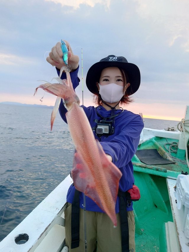 シロイカ(ケンサキイカ)