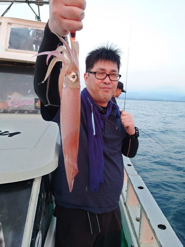 シロイカ(ケンサキイカ)