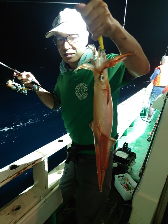 シロイカ(ケンサキイカ)