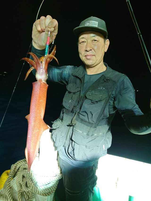 シロイカ(ケンサキイカ)