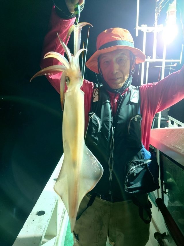 シロイカ(ケンサキイカ)