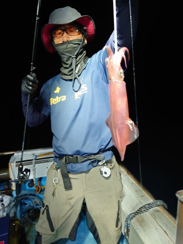 シロイカ(ケンサキイカ)