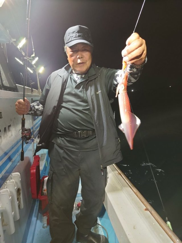 シロイカ(ケンサキイカ)