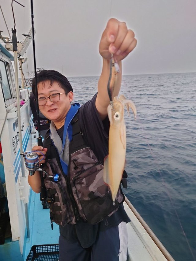 シロイカ(ケンサキイカ)