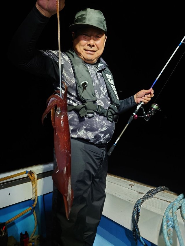 シロイカ(ケンサキイカ)