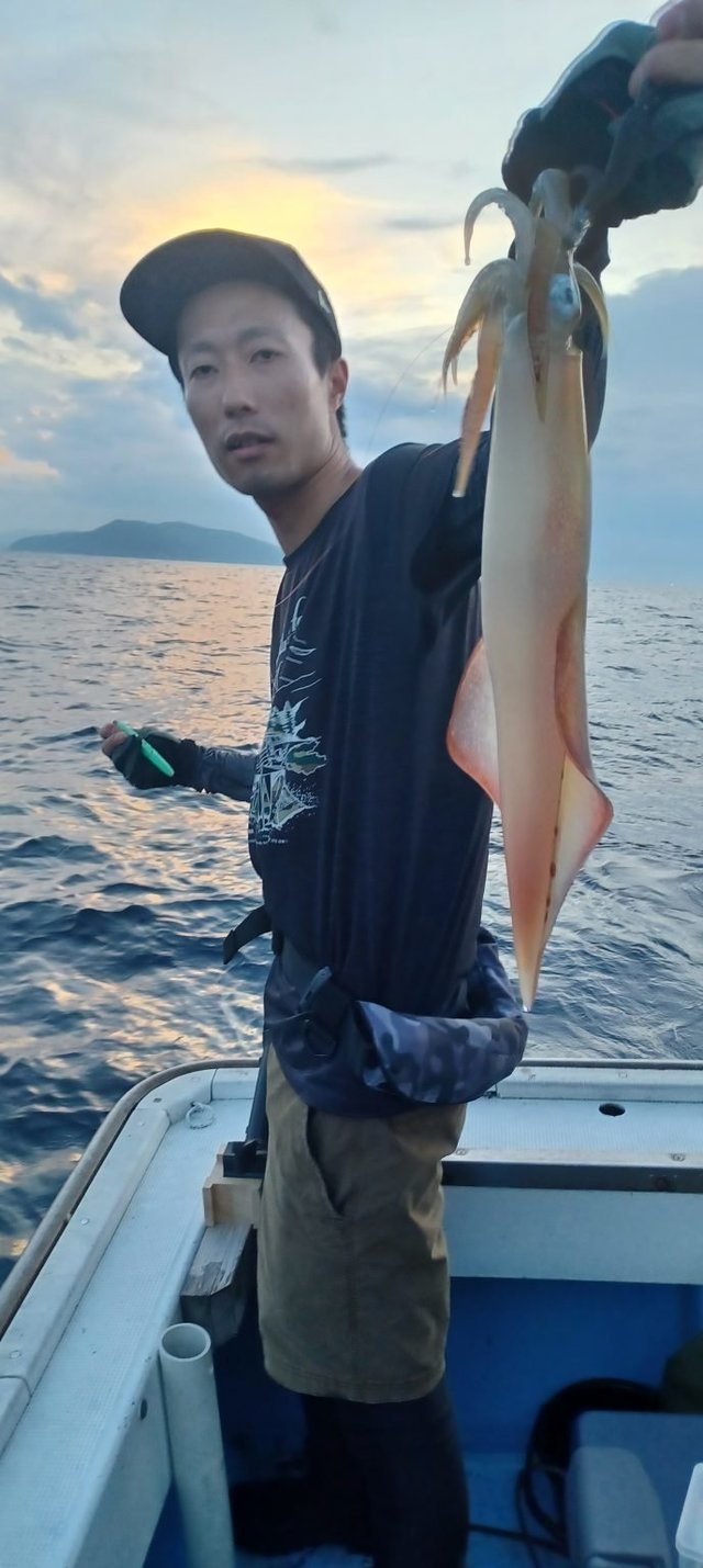 シロイカ(ケンサキイカ)