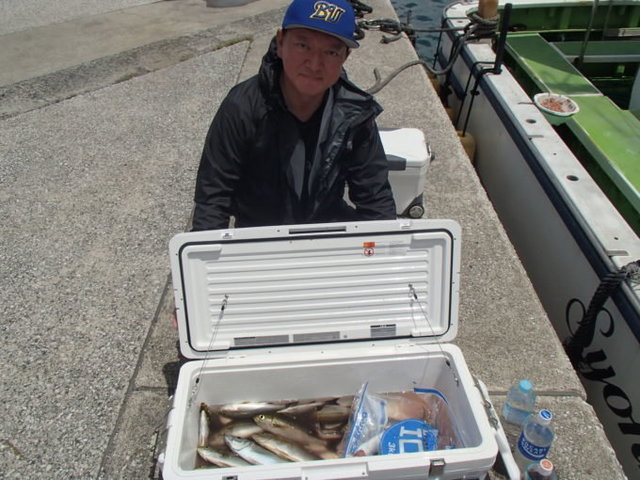 マアジ・イサキ