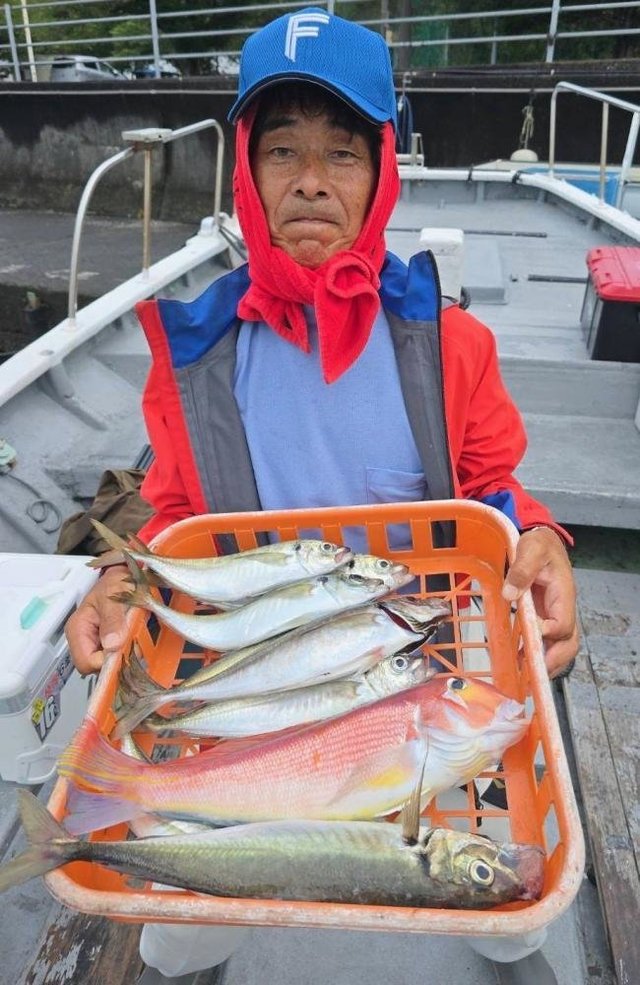 アジ(マアジ)・アマダイ(アカアマダイ)・ホウボウ・サバ(ゴマサバ)