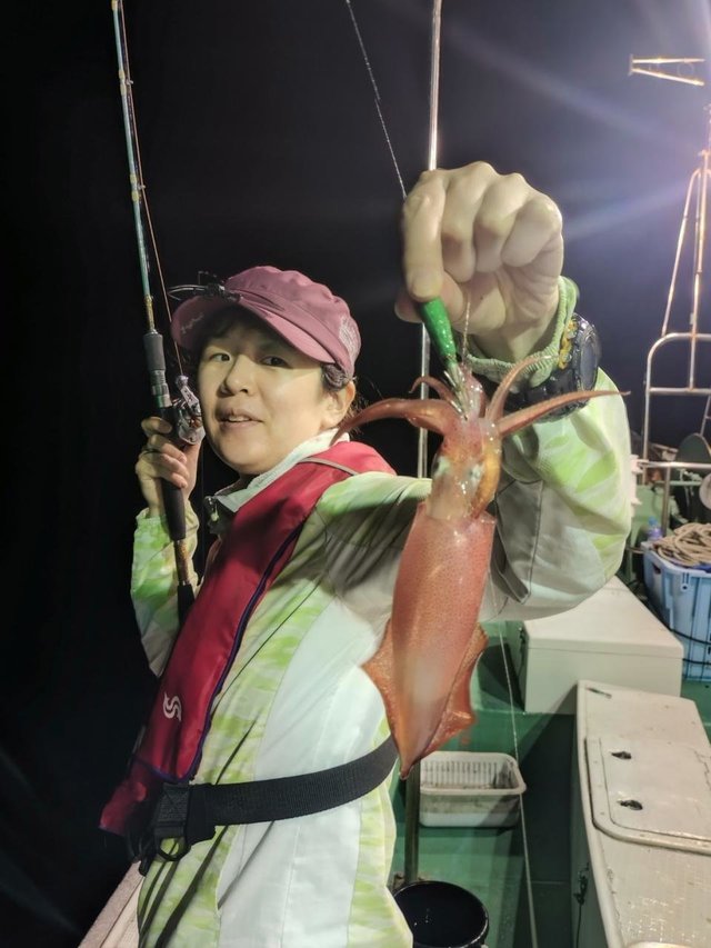 マイカ(ケンサキイカ)