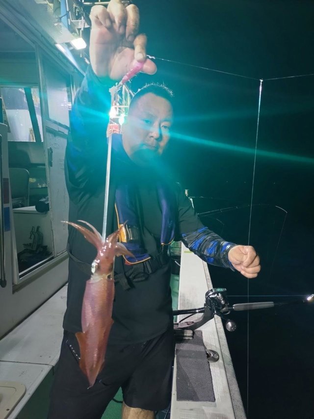 マイカ(ケンサキイカ)