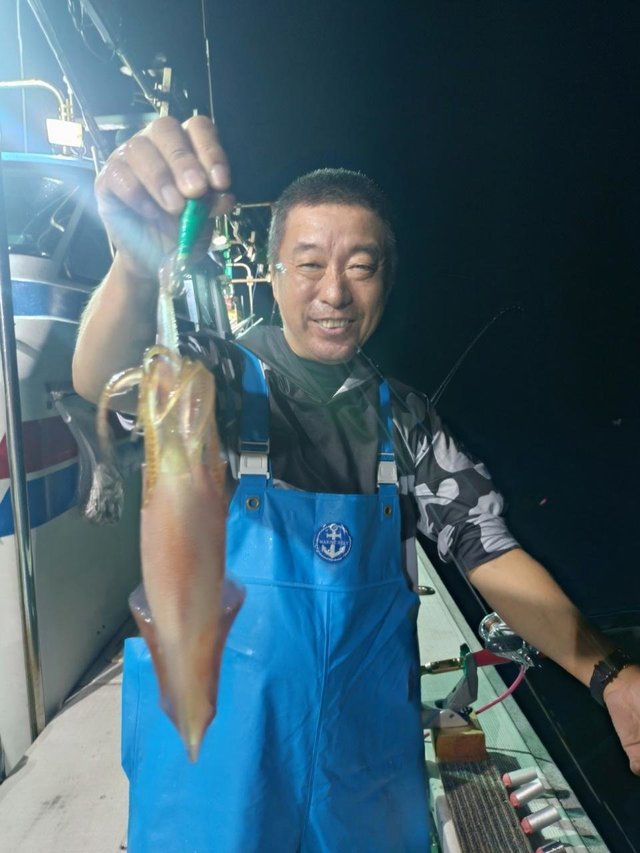 マイカ(ケンサキイカ)