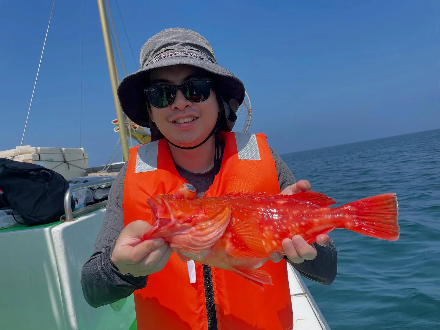 カンコ(ウッカリカサゴ)