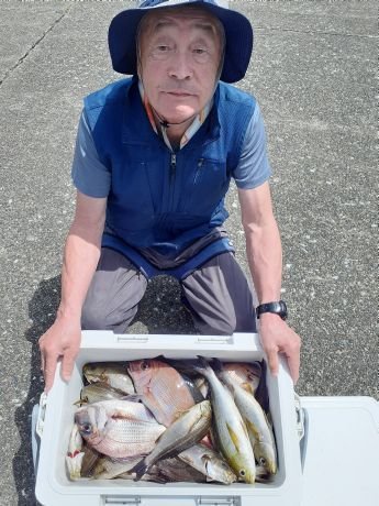 マダイ・アジ(マアジ)・イサキ・メバル