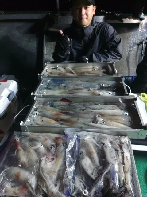 イカ(ヤリイカ)