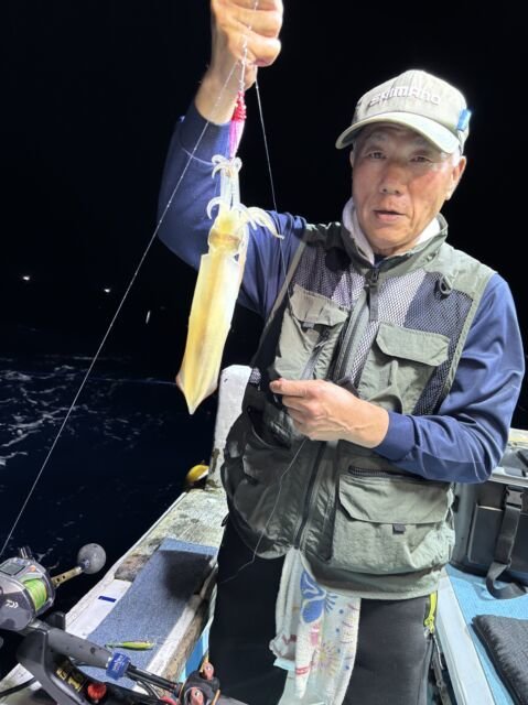 マイカ(ケンサキイカ)