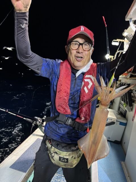 マイカ(ケンサキイカ)