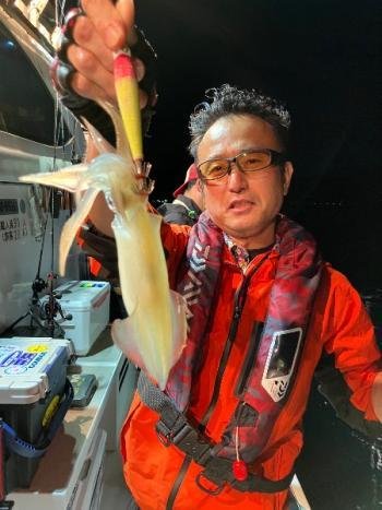 マイカ(ケンサキイカ)