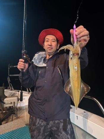 マイカ(ケンサキイカ)