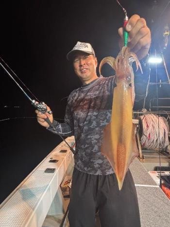 マイカ(ケンサキイカ)